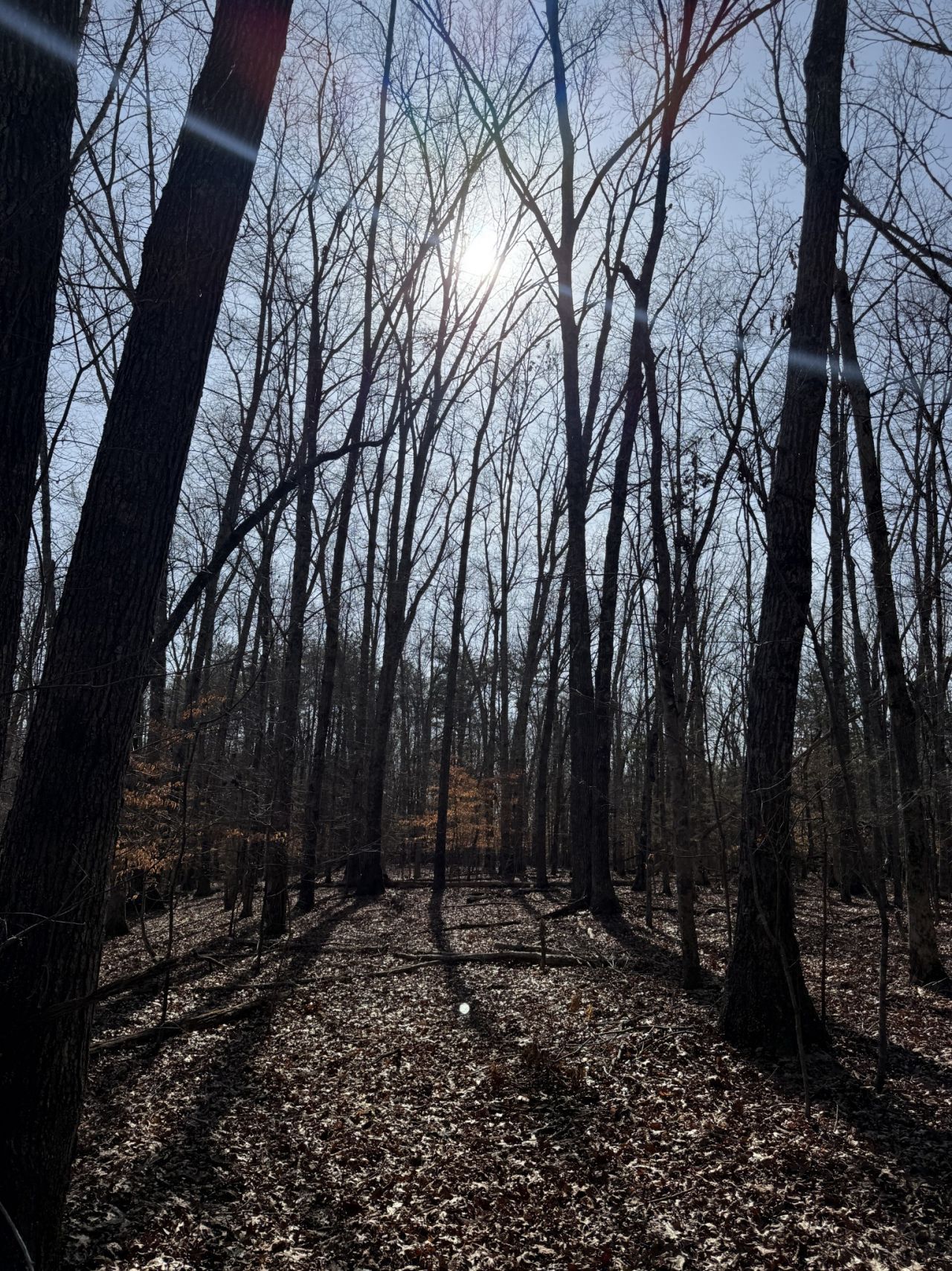 0 Step Rock Hill Rd, Cookeville, TN 38506 Main Photo