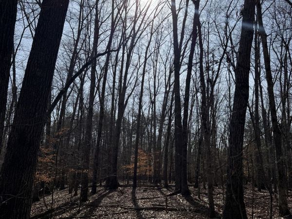 0 Step Rock Hill Rd, Cookeville, TN 38506