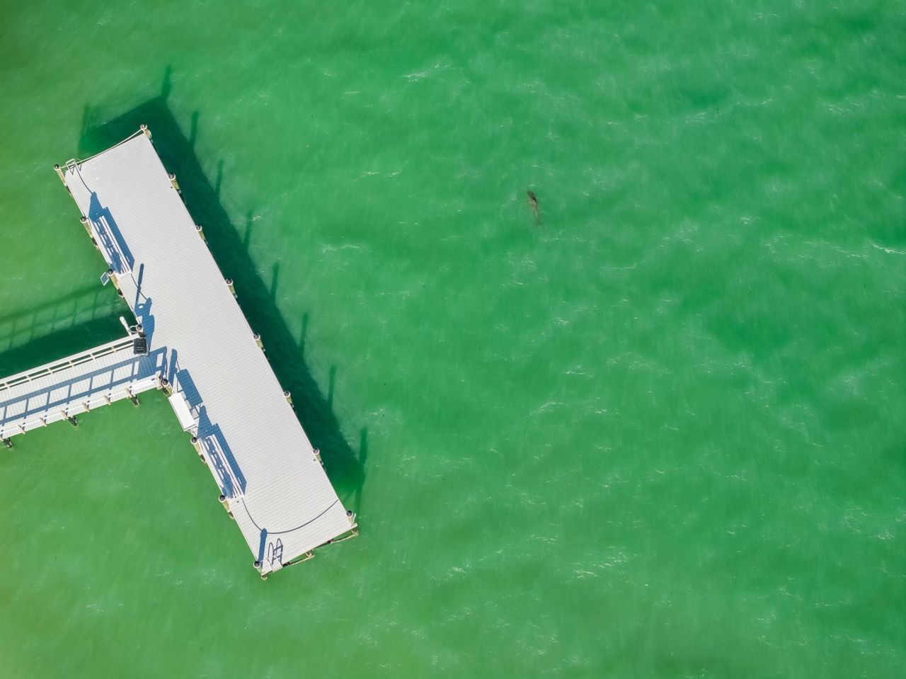 760 Sextant Dr, Unit 1051, Sanibel, FL 33957 Photo