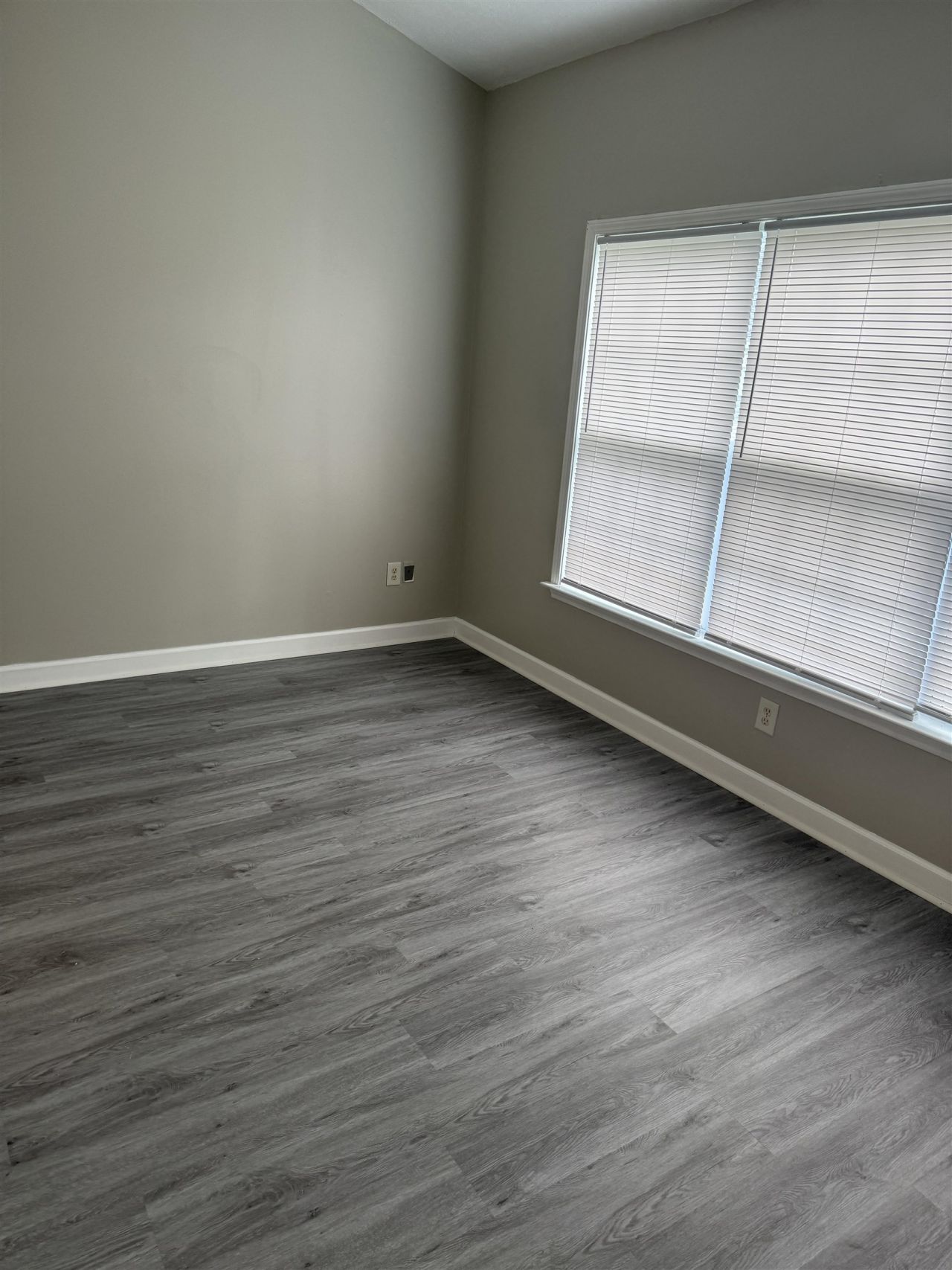 101 Westhaven Dr.  Photo 5