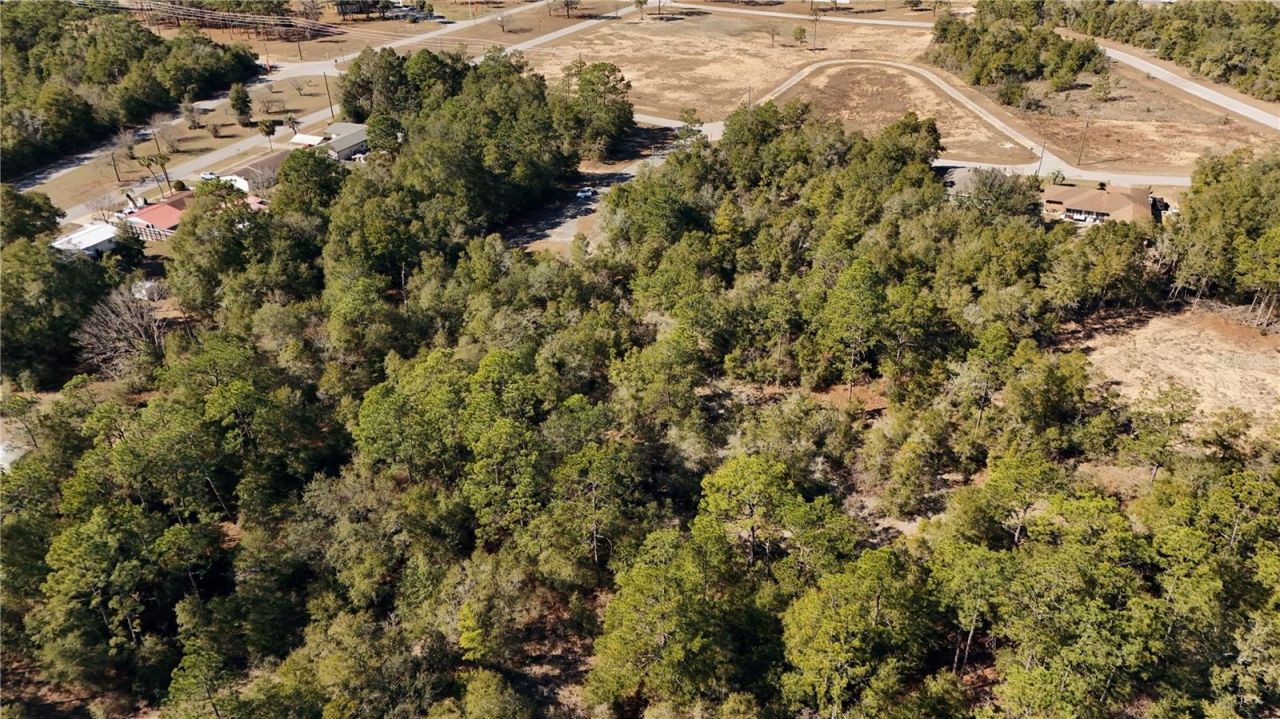 00 Lark Court, Chipley, FL 32428 Photo