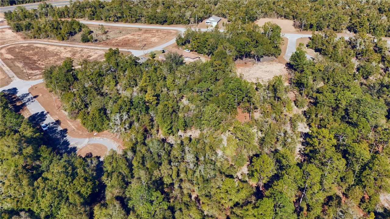 00 Lark Court, Chipley, FL 32428 Photo