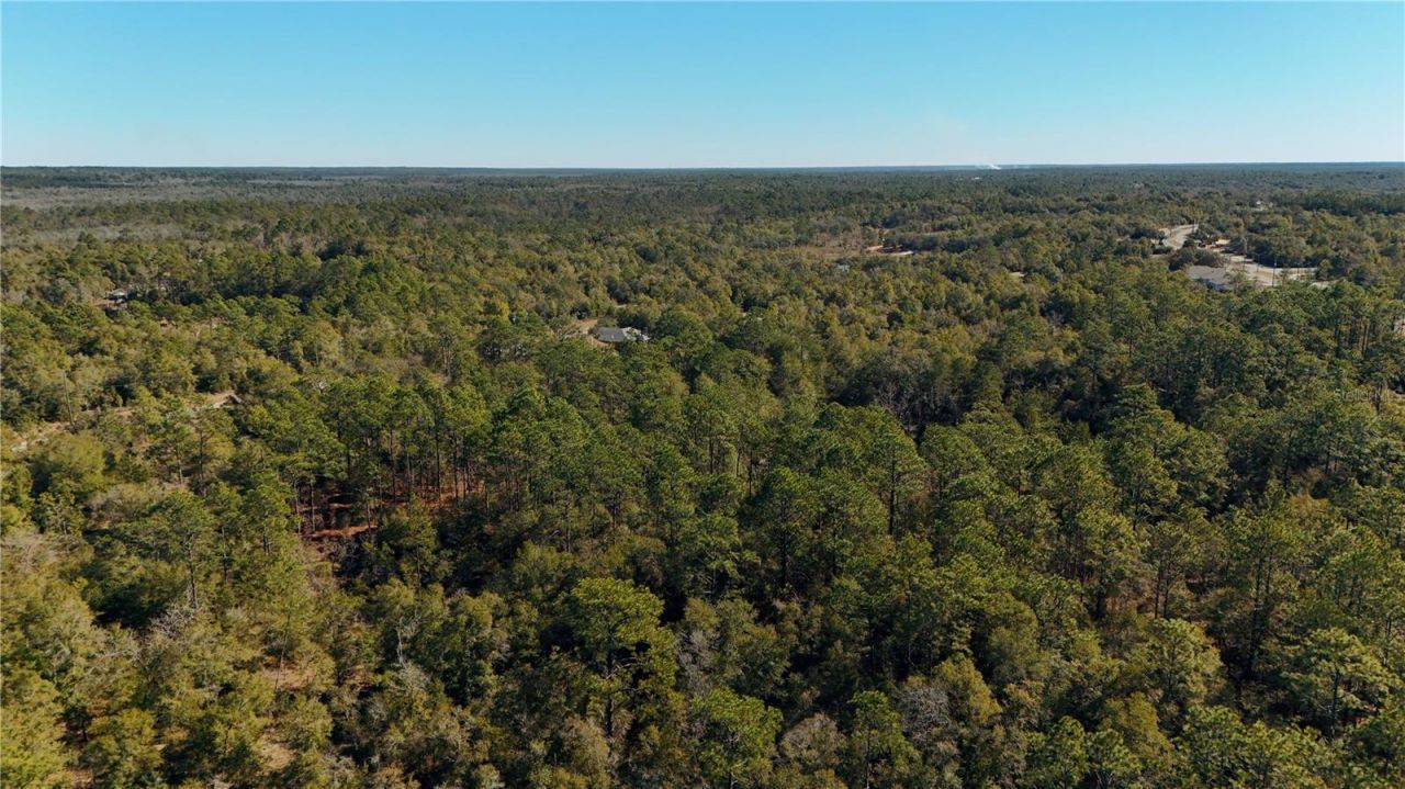 00 Lark Court, Chipley, FL 32428 Photo