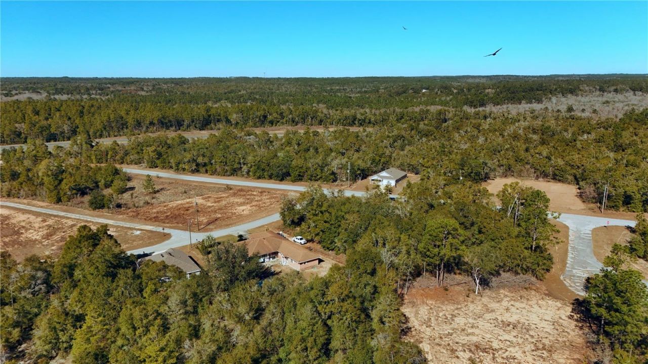 00 Lark Court, Chipley, FL 32428 Photo