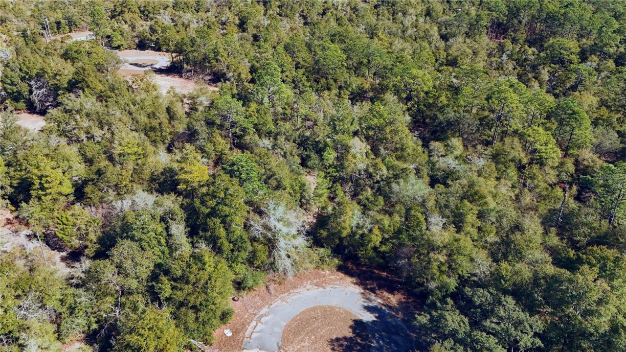 00 Lark Court, Chipley, FL 32428 Photo