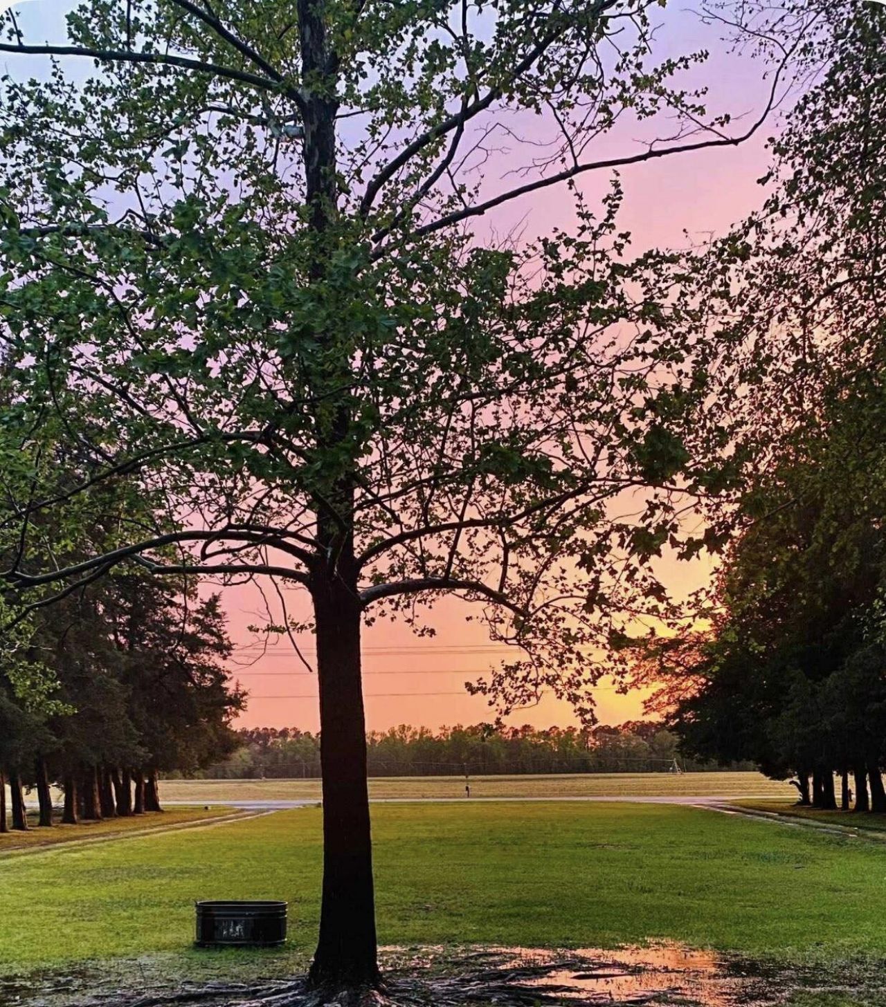 2407 Old State Road Photo 56