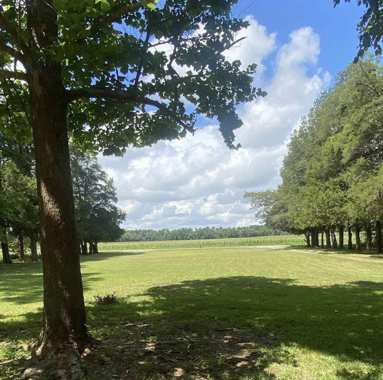 2407 Old State Road Photo 58