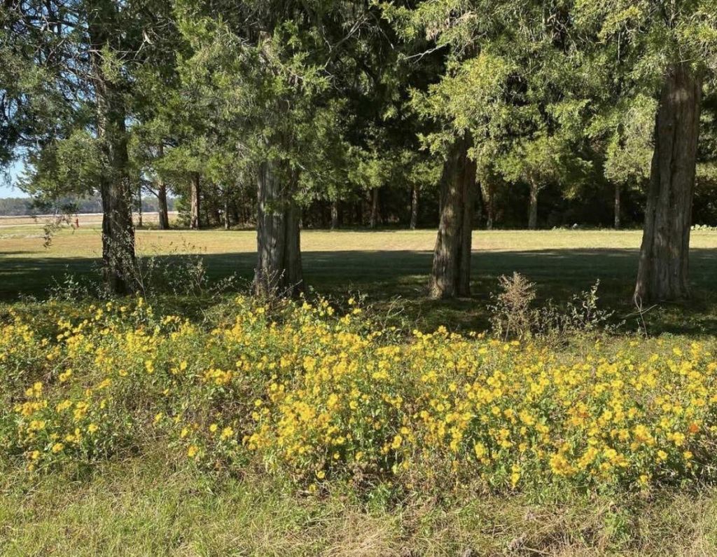 2407 Old State Road Photo 60