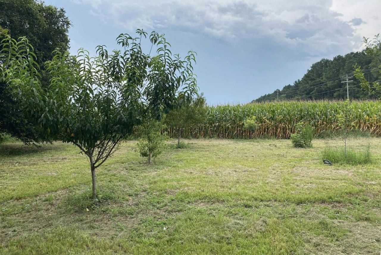 2407 Old State Road Photo 62