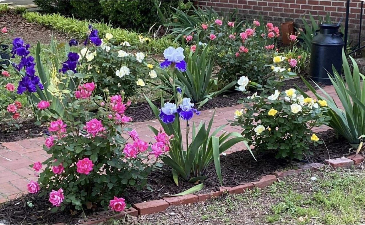 2407 Old State Road Photo 63