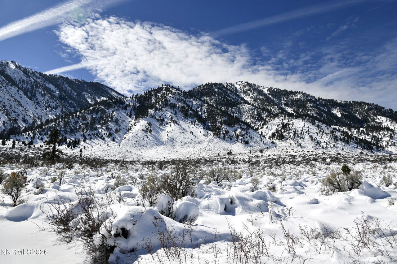 304 James Canyon Loop, Genoa, NV 89411 Photo