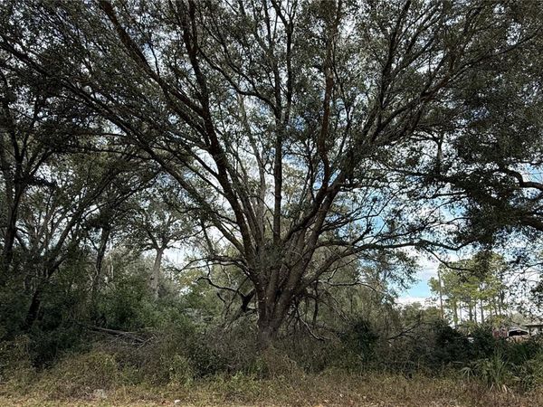 0 HILDA RD, DADE CITY, FL 33523