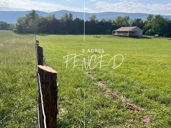 1195 MOUNTAIN VIEW DRIVE, RILEYVILLE, VA 22650