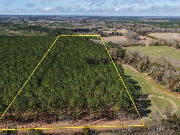 0 0 Grimes Road , Unit Lot #1, Laurel Hill, FL 32567