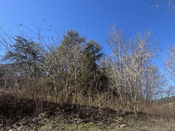 Tract 4 Rule Hollow Road, Sevierville, TN 37876