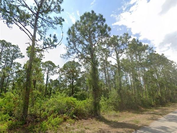 2007 Monroe AVE , ALVA, FL 33920