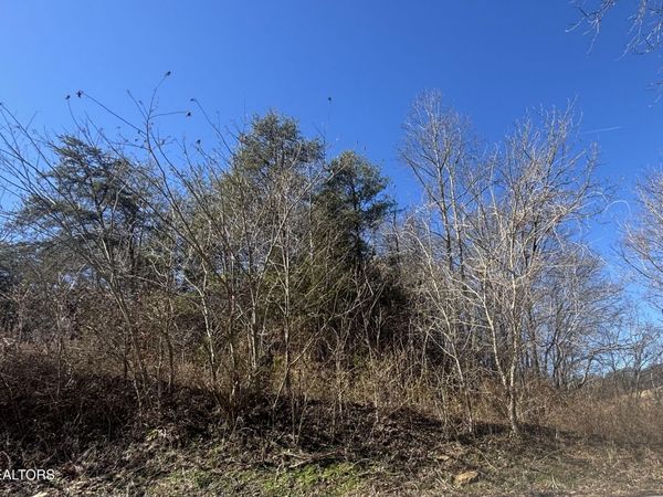 Tract 4 Rule Hollow Rd, Sevierville, TN 37876