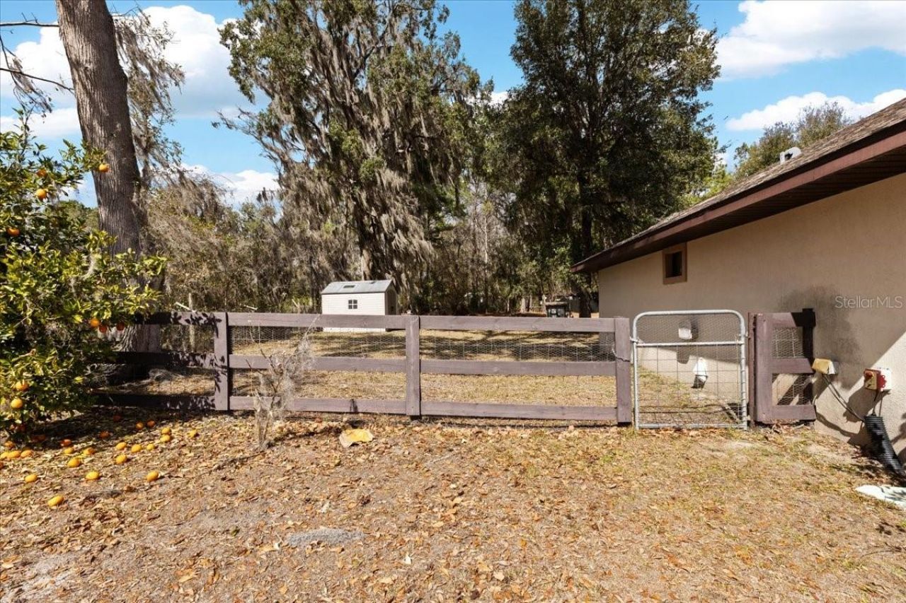 7229 SW County Road 239a, Lake Butler, FL 32054 Photo