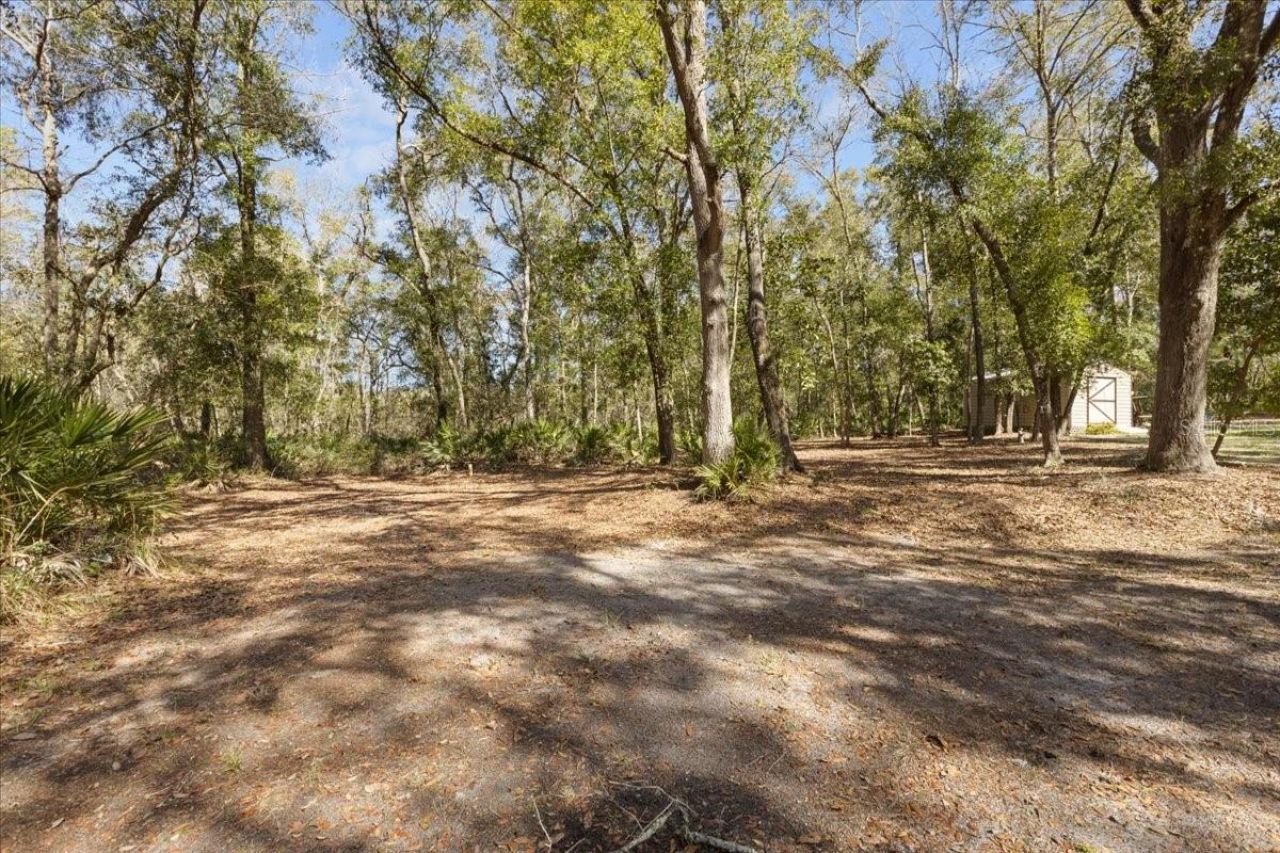 1658 NE 743rd Street, Old Town, FL 32680 Photo