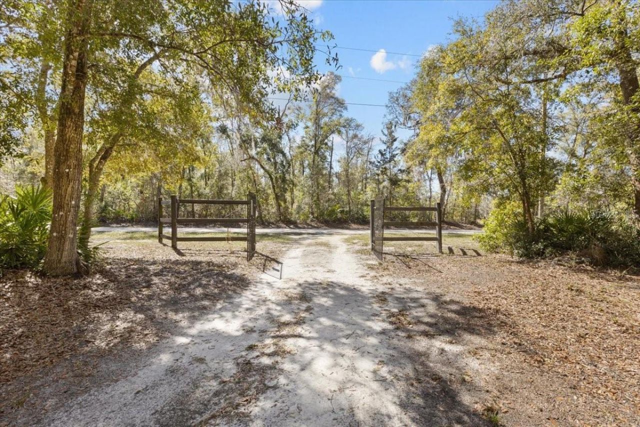 1658 NE 743rd Street, Old Town, FL 32680 Photo