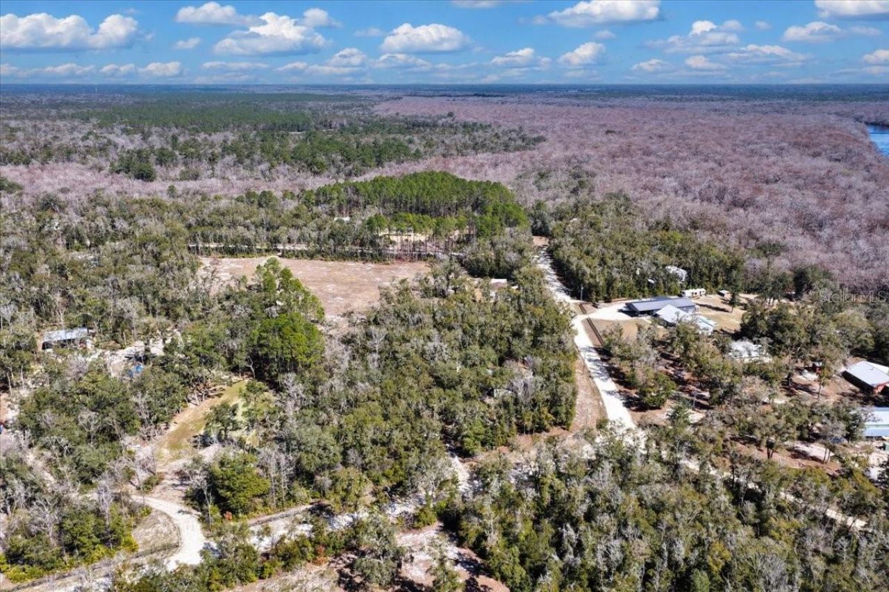 1658 NE 743rd Street, Old Town, FL 32680 Photo