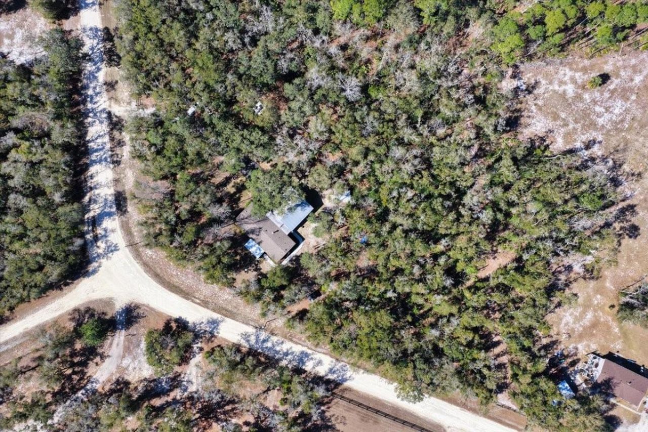 1658 NE 743rd Street, Old Town, FL 32680 Photo