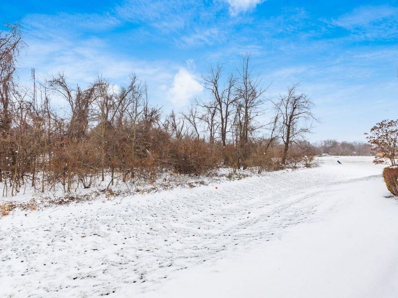 590 Redwood Lane, Lewis Center, OH 43035 Photo 34