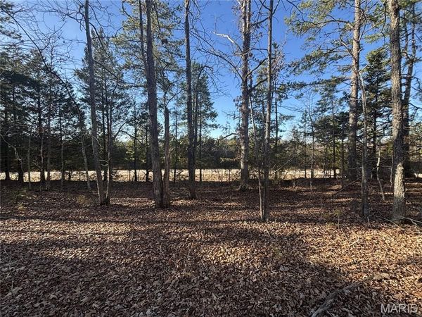 000 State Highway M , Silva, MO 63964