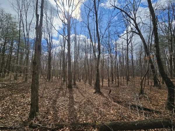 10 Griswold Road, Altamont, TN 37301