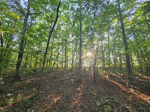 10 Griswold Road, Altamont, TN 37301