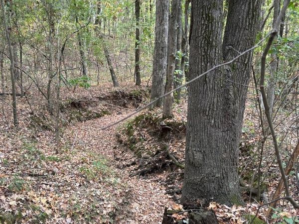 3 Acres County Road 389, Bono, AR 72416