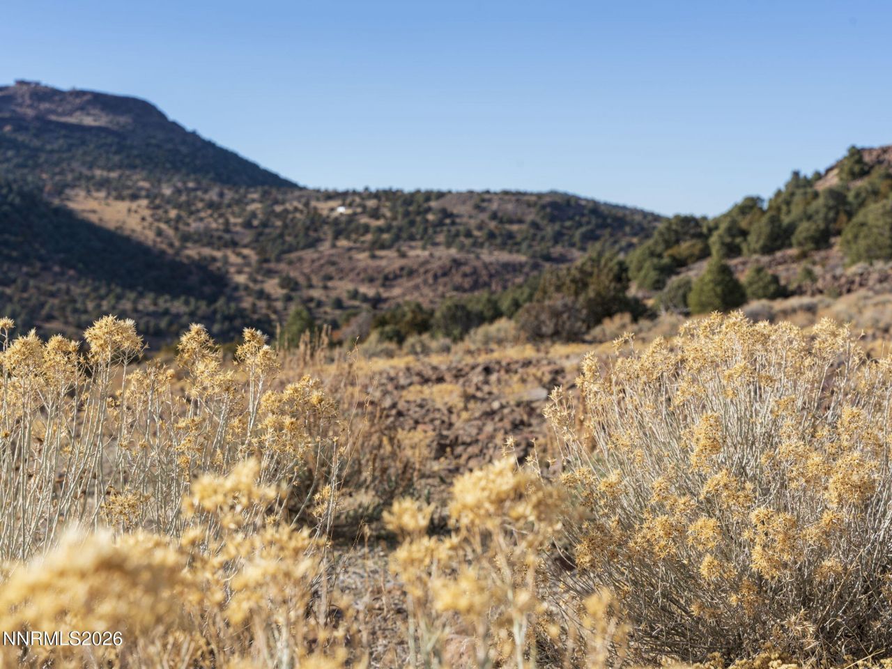 2690 Goldfield Road, Reno, NV 89521 Photo