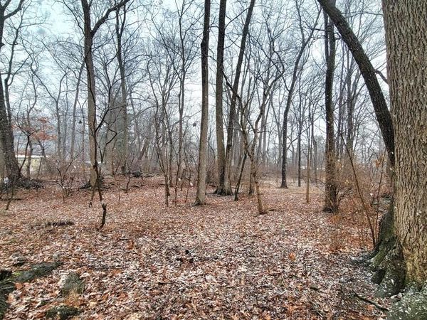 8403 COUNTRY HOME LANE, BOONSBORO, MD 21713