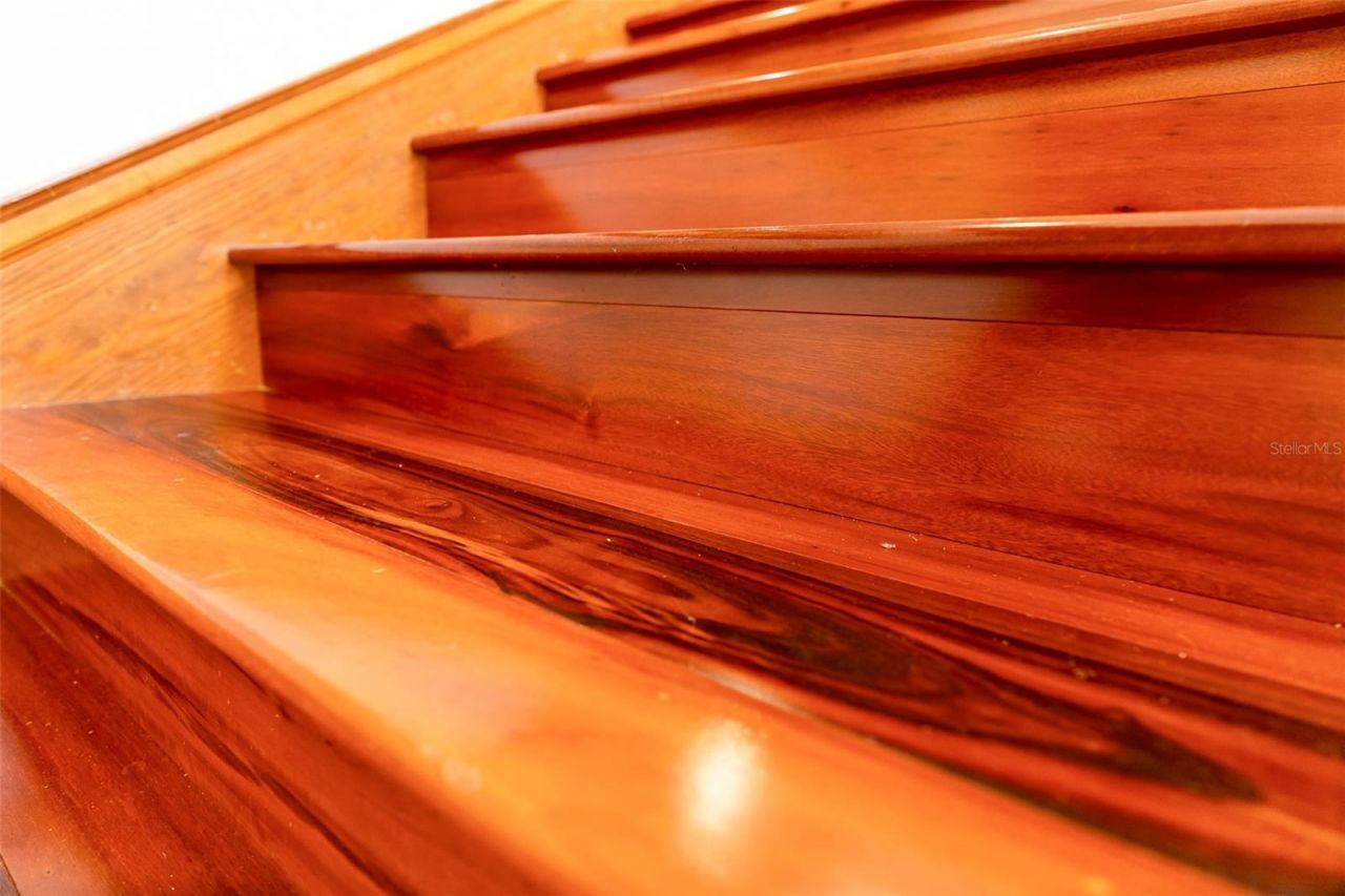 8133 Oakland Place, Orlando, FL 32819 Photo