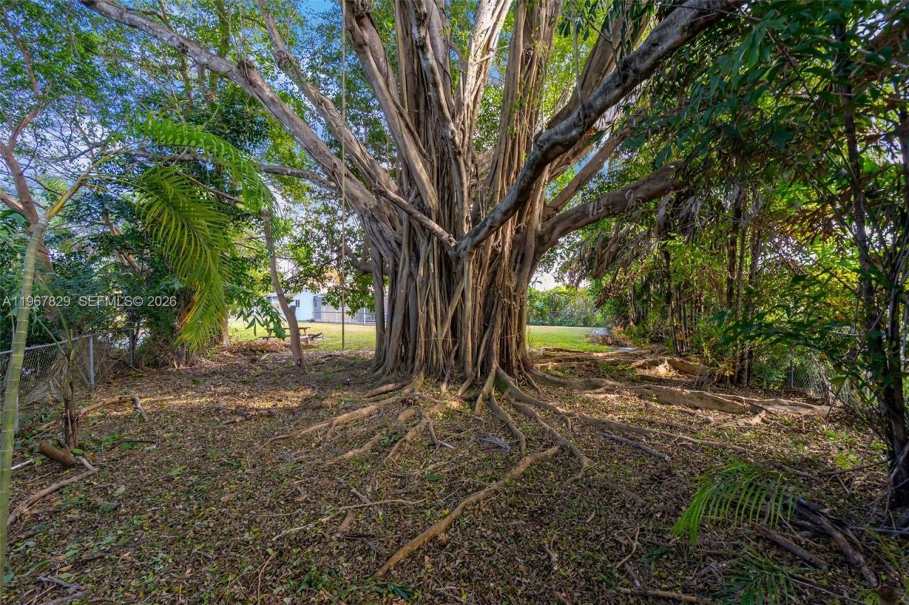 7541 SW 9th St, Plantation, FL 33317 Photo