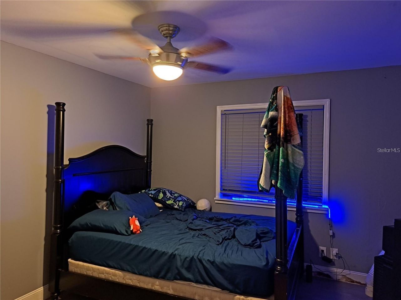 2814 N Maryland Avenue, Plant City, FL 33563 Photo