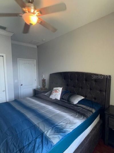 2525 Isabela Terrace, Kissimmee, FL 34743 Photo