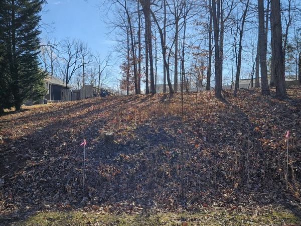 Lot 59 Macgregor DR , Blue Ridge, VA 24064