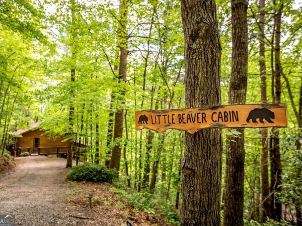 137 Little Beaver Drive, Cherry Log, GA 30522