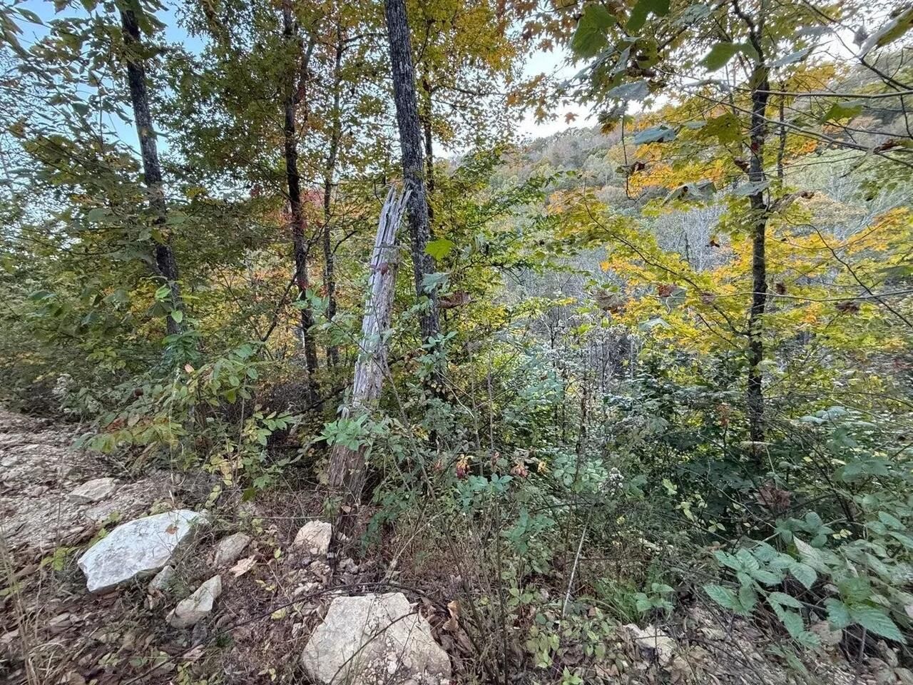 30 Highway 89, Livingston, KY 40445