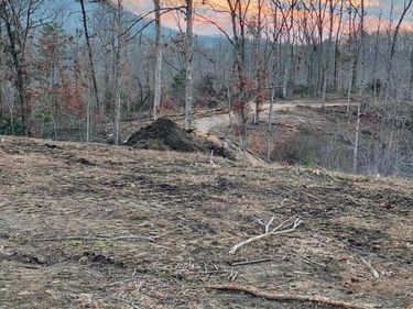 Lot 1 Woodland Estates , Irvine, KY 40336