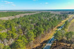 501 Givhans Road photo 4