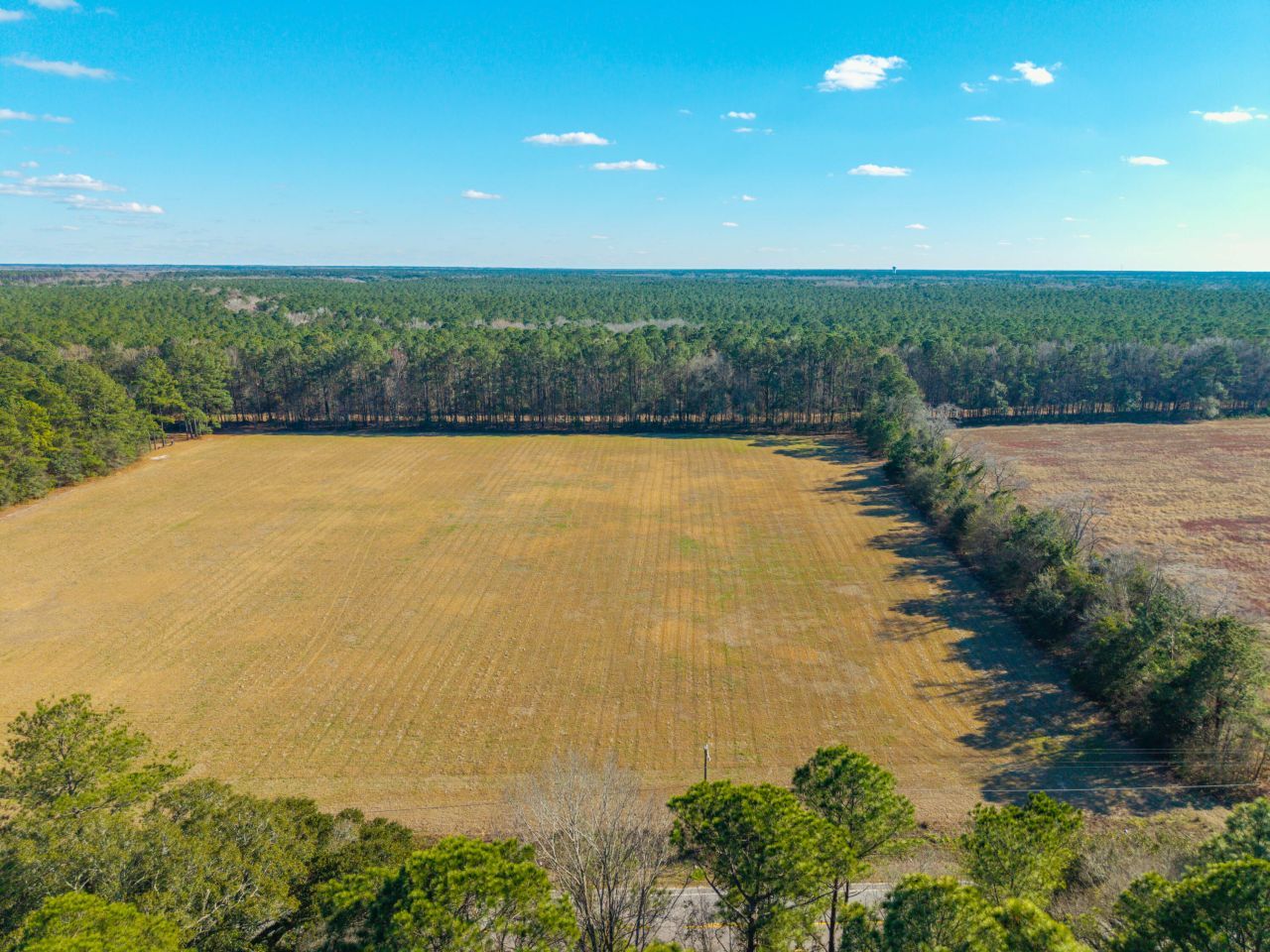 417 Ridge Road Photo 6