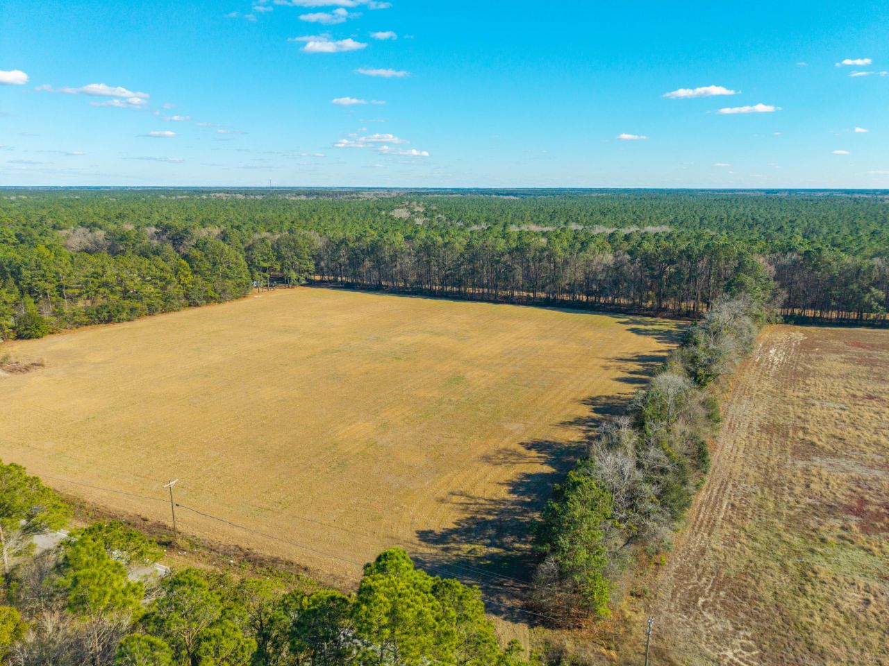 417 Ridge Road Photo 7