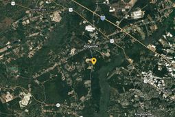 501 Givhans Road  photo 4