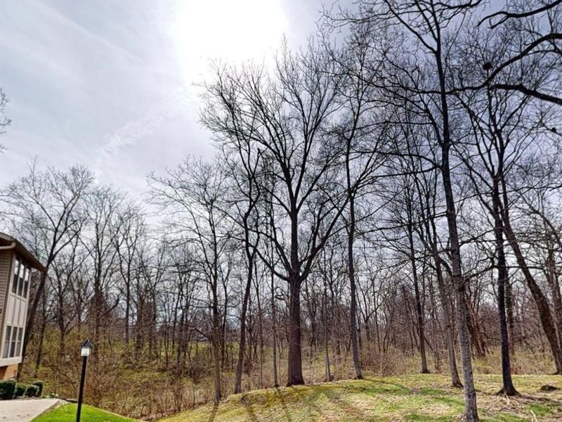 22 Oakwood Court, Springdale, OH 45246 Photo 3