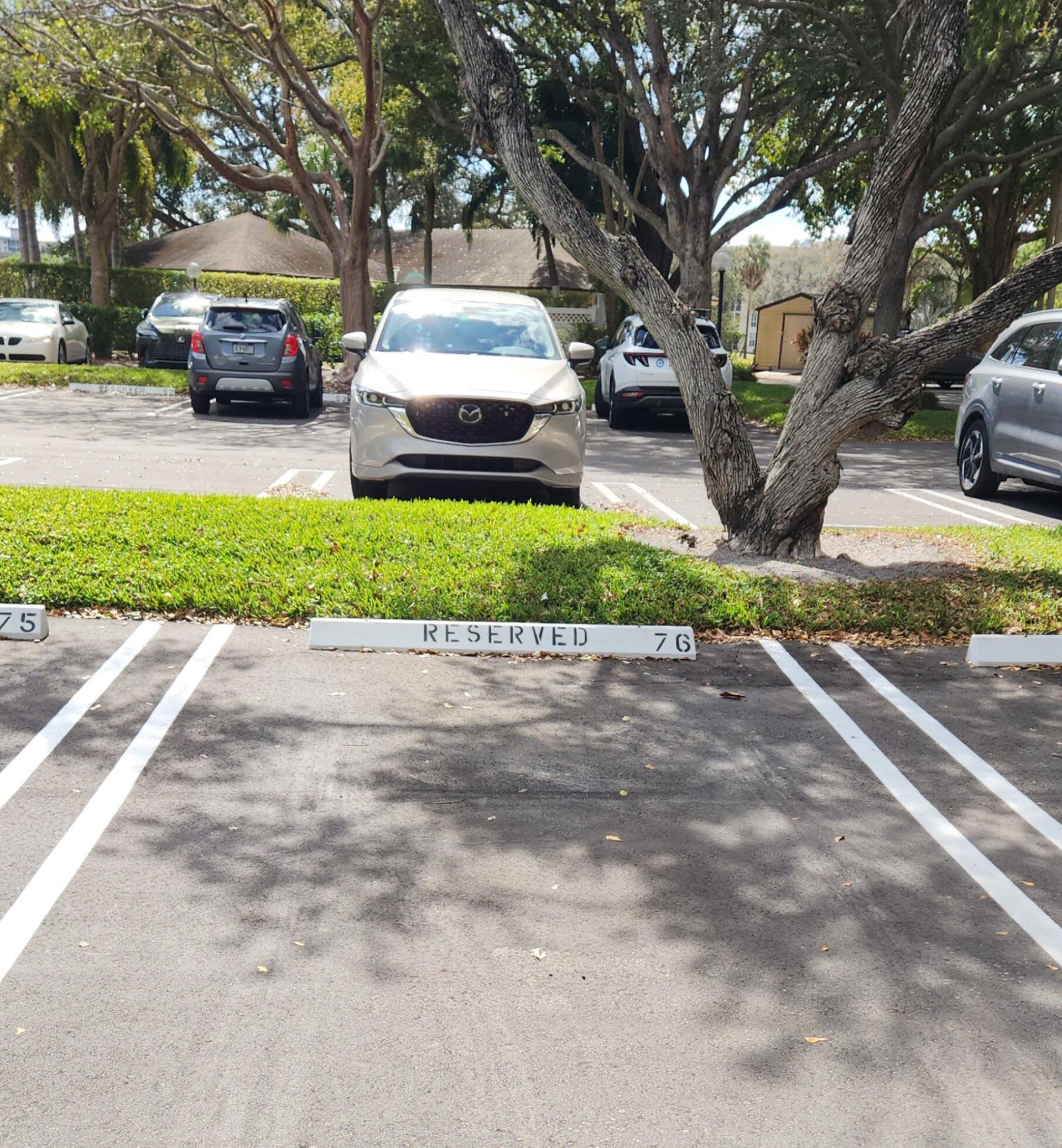 3507 Oaks Way, Unit 911, Pompano Beach, FL 33069 Photo