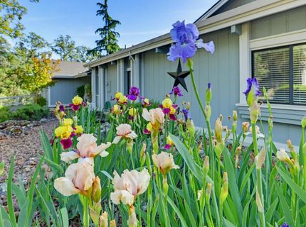 12025 Wanderer Rd, Auburn, CA 95602 Photo