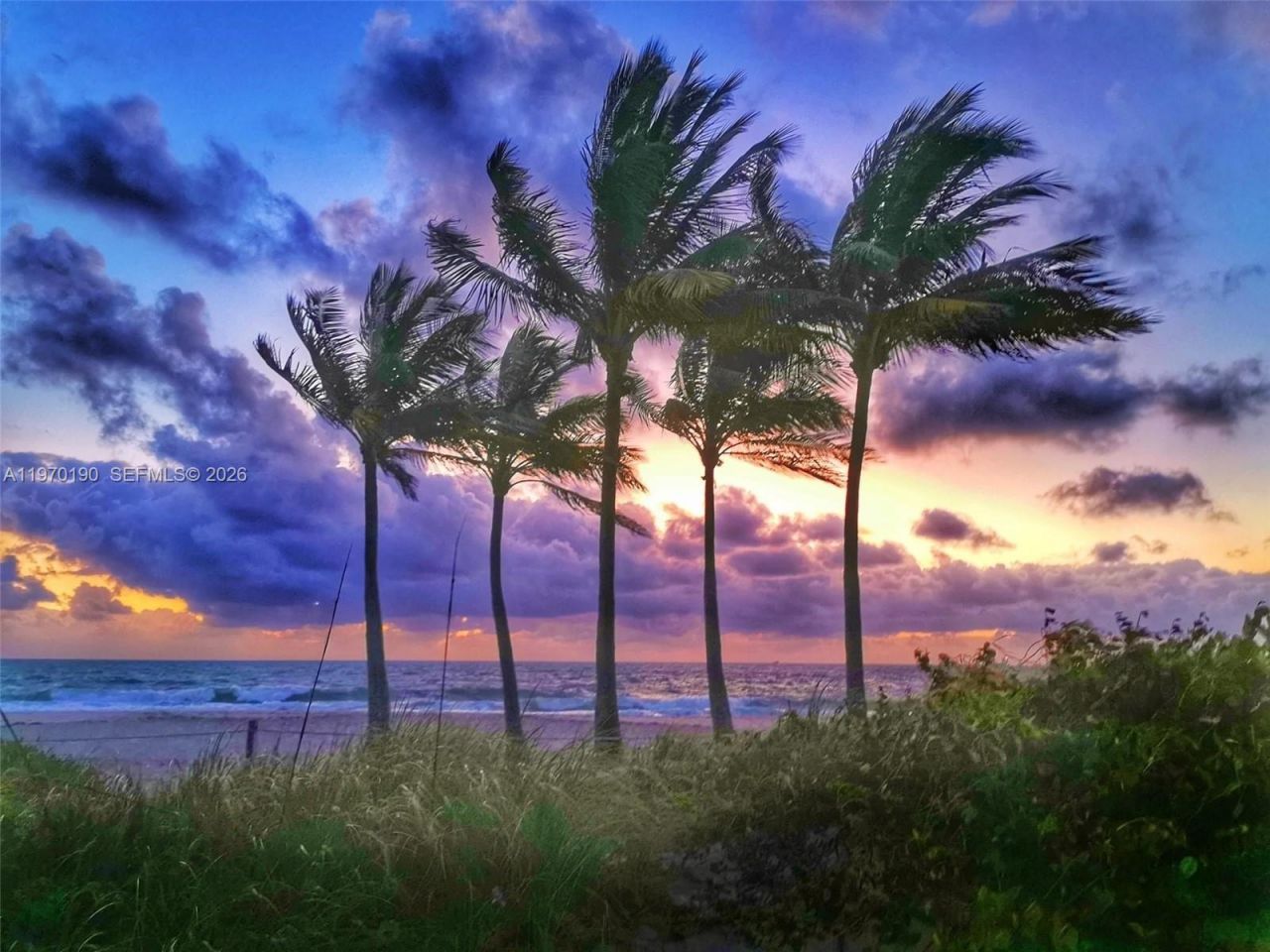 4100 Galt Ocean Dr, Unit 501, Fort Lauderdale, FL 33308 Photo