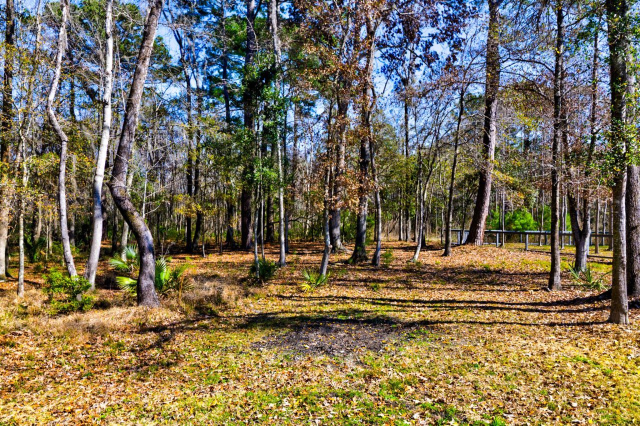 2950 Murray Wood Road Photo 42